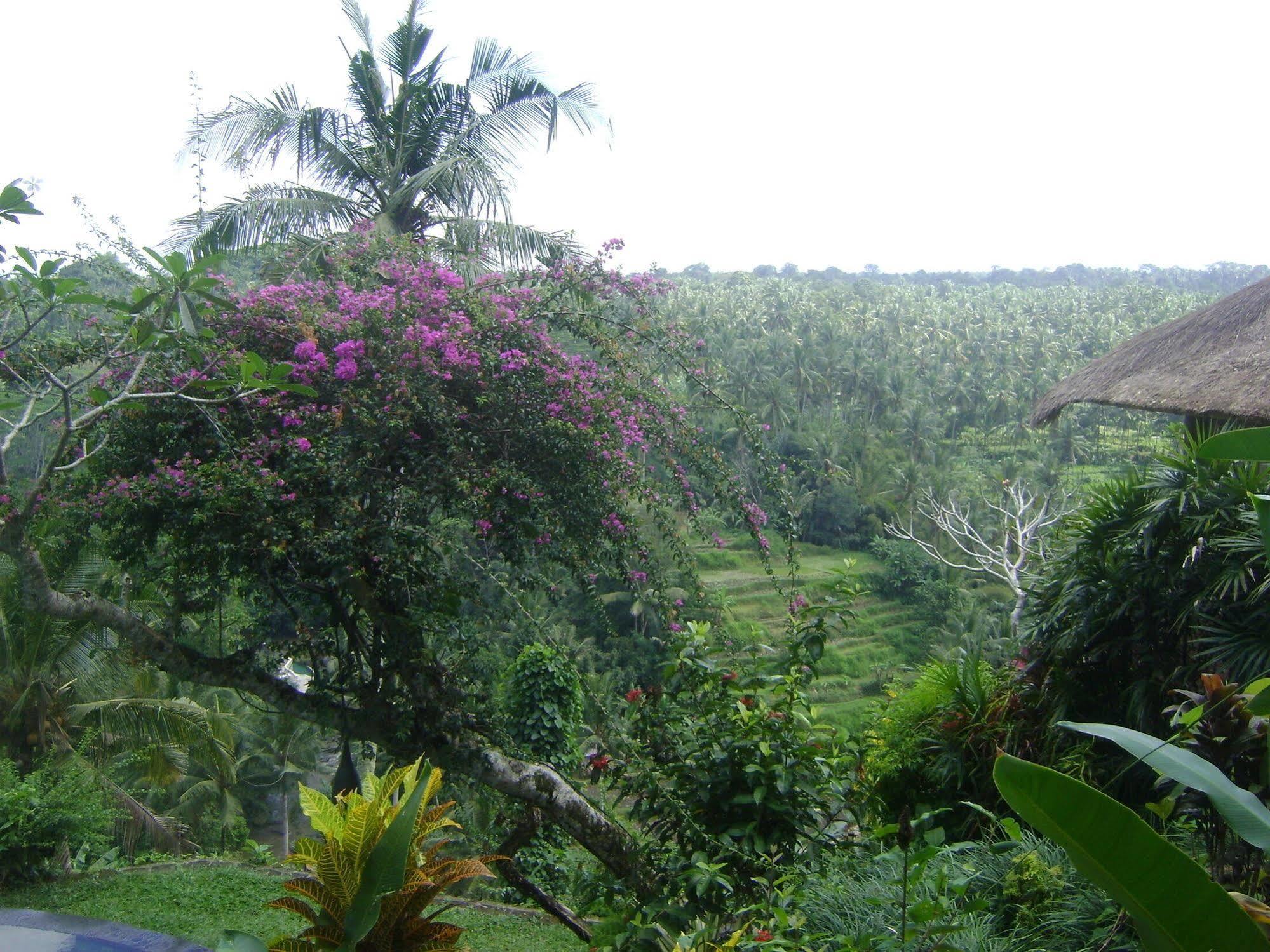 Taman Bebek Bali Ubud
